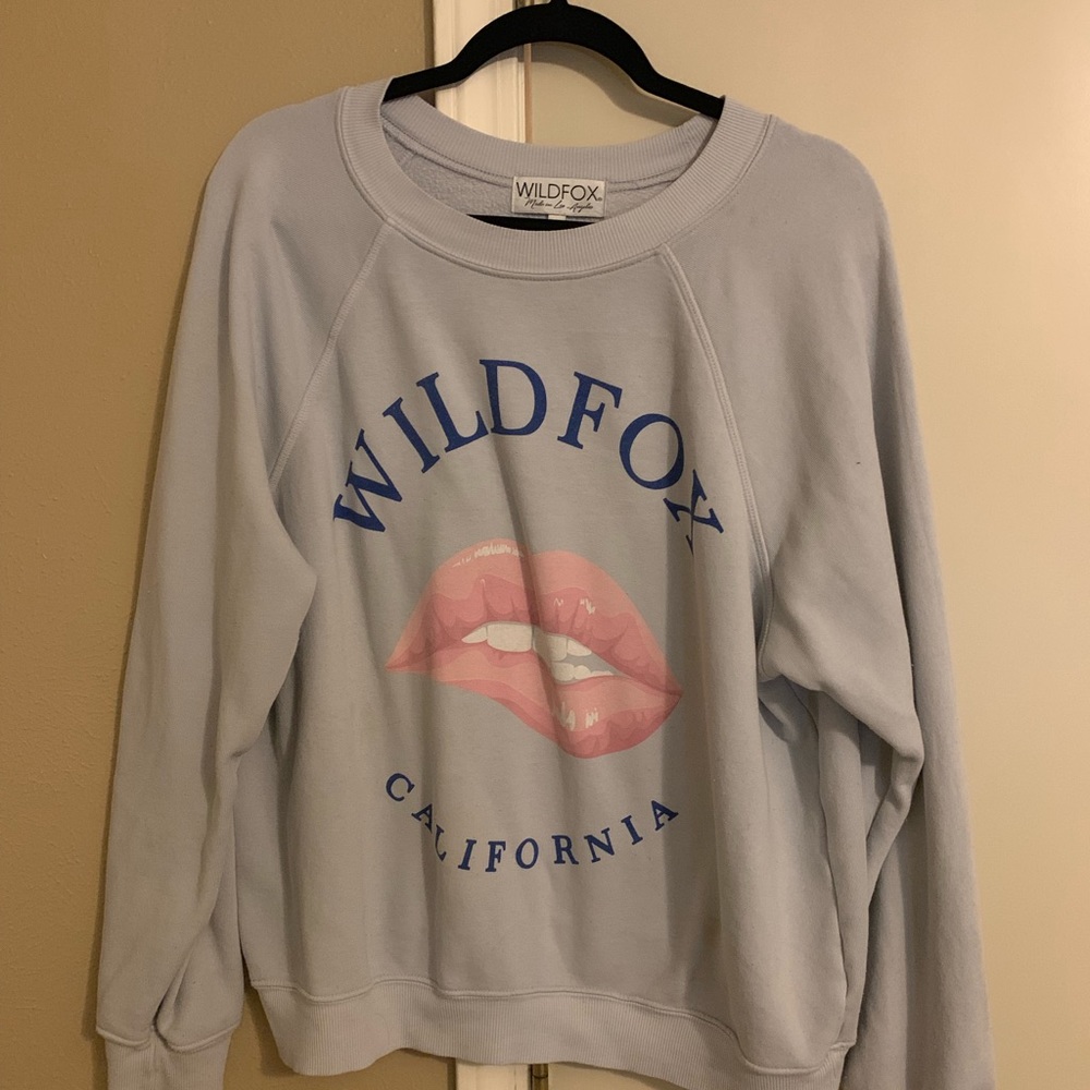 COPY - Wildfox sweatshirt